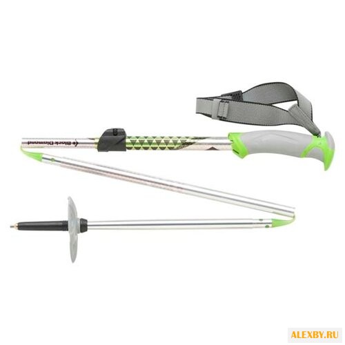 Палки для горных лыж Black