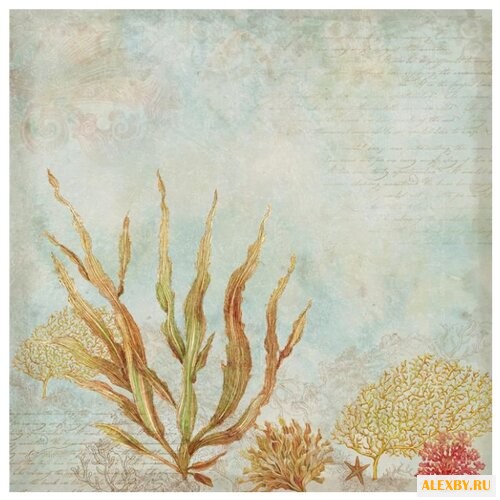 Бумага K&Company 31х31 см 25