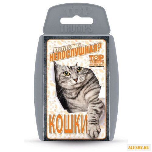 Настольная игра ИнтерХит