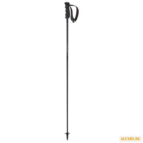 Палки для горных лыж Fischer