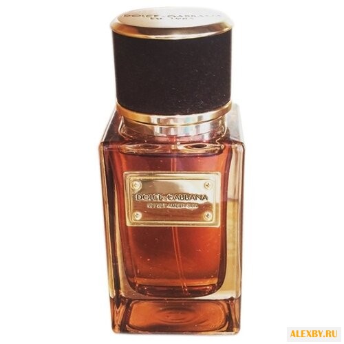 DOLCE & GABBANA Velvet Amber Sun