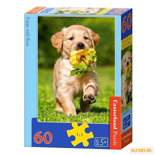 Пазл Castorland Puppy with Rose