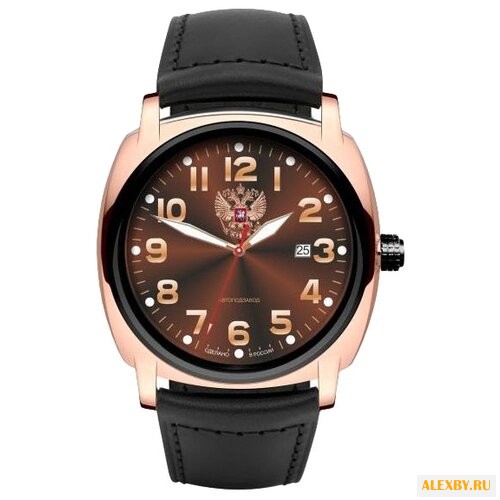 Наручные часы СПЕЦНАЗ С9063371