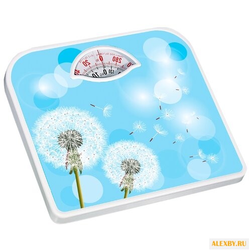 Весы Ладомир НА202 арт.5