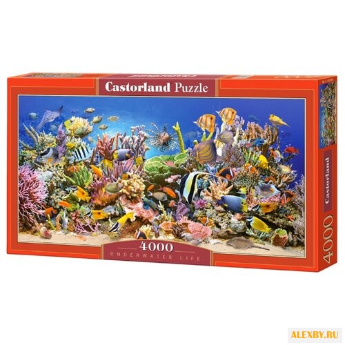 Пазл Castorland Underwater Life