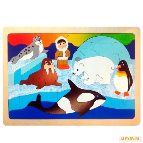 Рамка-вкладыш Крона На полюсе