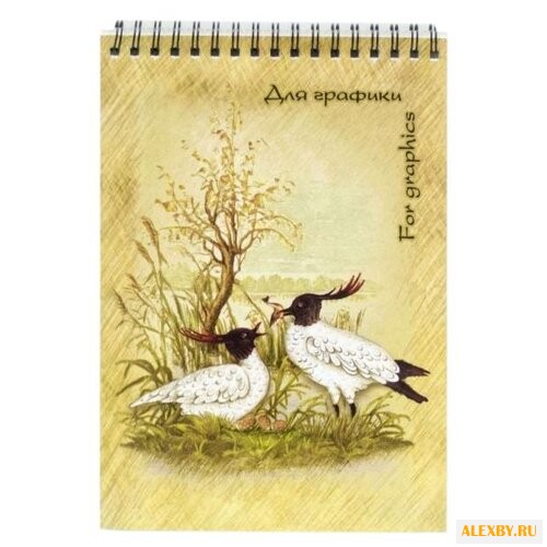 Блокнот для графики Лилия
