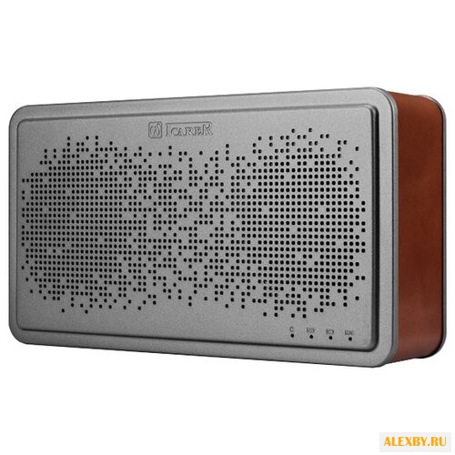 Портативная акустика iCarer