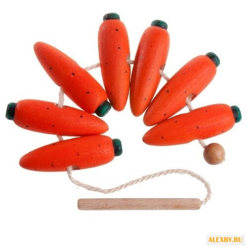 Шнуровка Леснушки Морковки L0611
