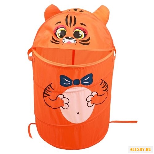 Корзина Школа талантов Тигр