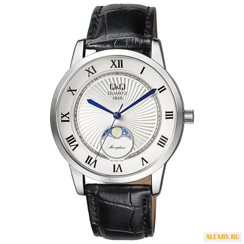 Наручные часы Q&Q QZ10 J307