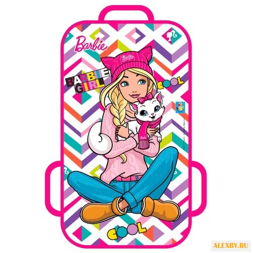 Ледянка 1 TOY Barbie Т10445