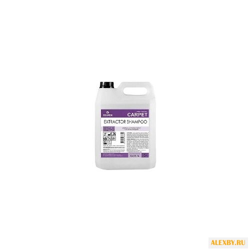 Pro-Brite Шампунь для ковров