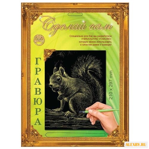 Гравюра Лапландия Белочка 37610