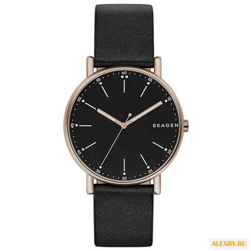 Наручные часы SKAGEN SKW6401