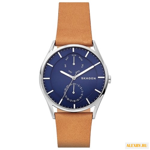 Наручные часы SKAGEN SKW6369