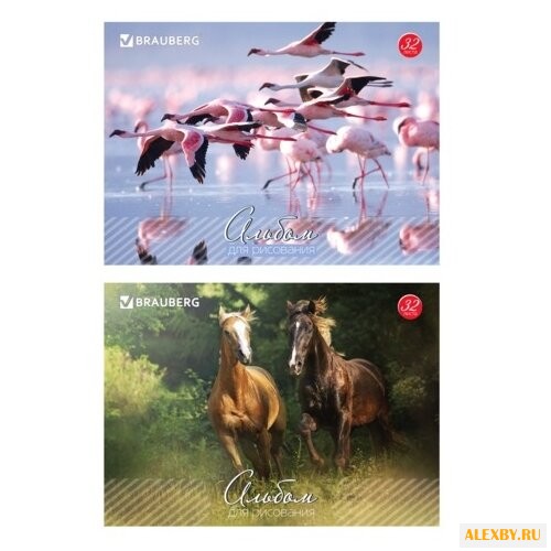 Альбом для рисования BRAUBERG