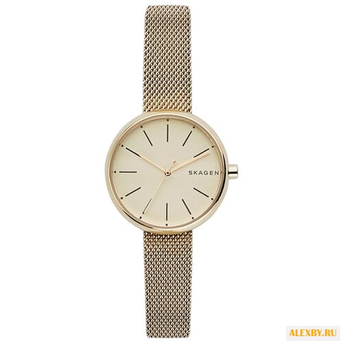 Наручные часы SKAGEN SKW2614
