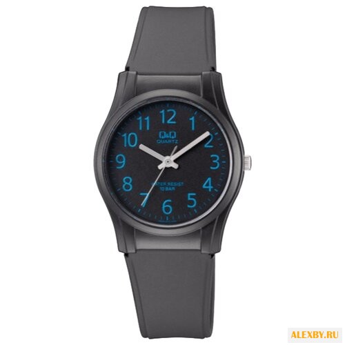 Наручные часы Q&Q VQ02 J013