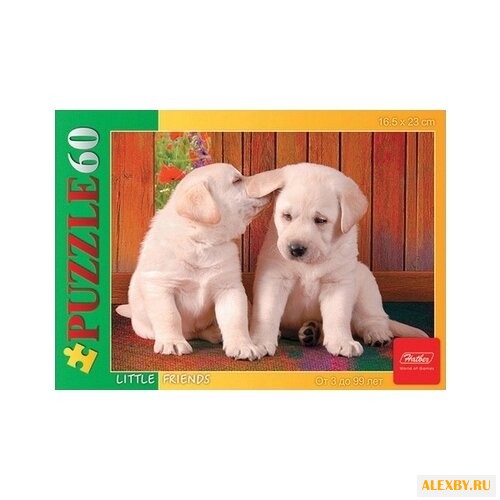 Пазл Hatber Little Friends