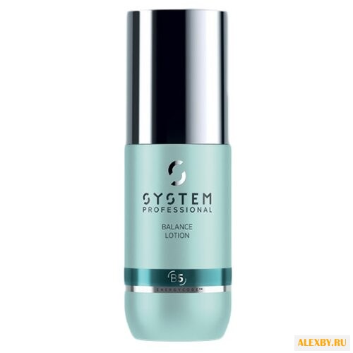 SYSTEM PROFESSIONAL BALANCE