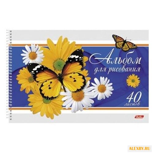 Альбом Hatber Бабочки с