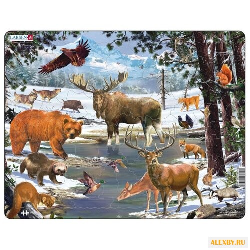 Рамка-вкладыш Larsen Животные