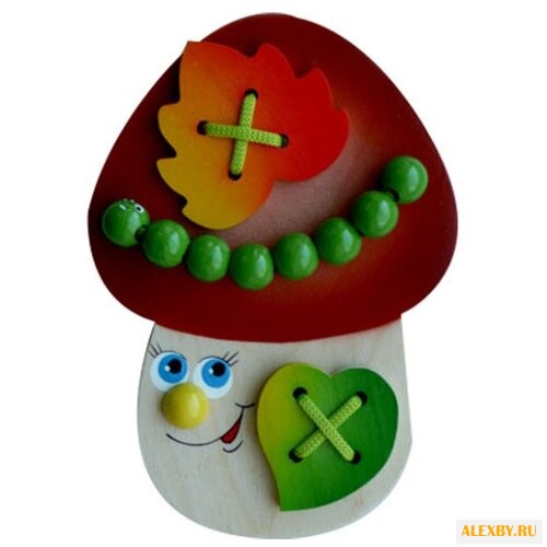 Шнуровка Крона Гриб Боровик