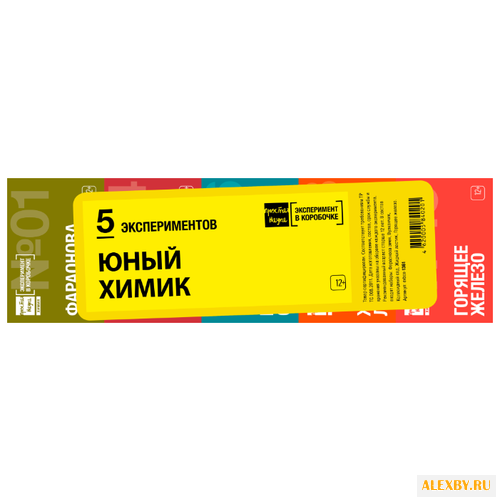 Набор Простая Наука Юный Химик