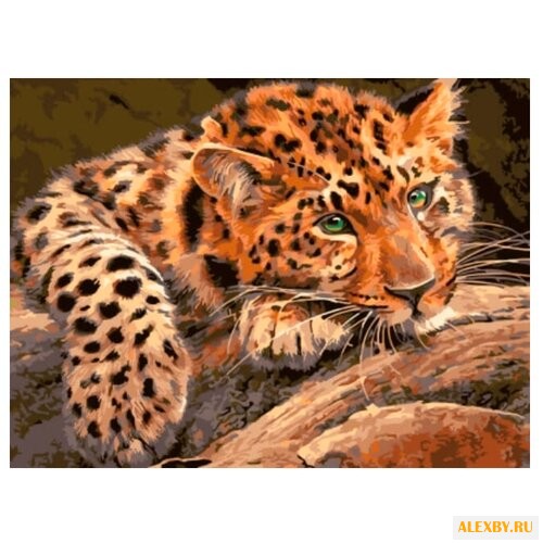 Цветной Картина по номерам