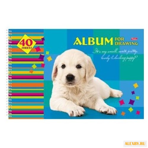 Альбом для рисования Hatber