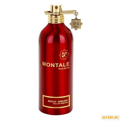 MONTALE Aoud Meloki