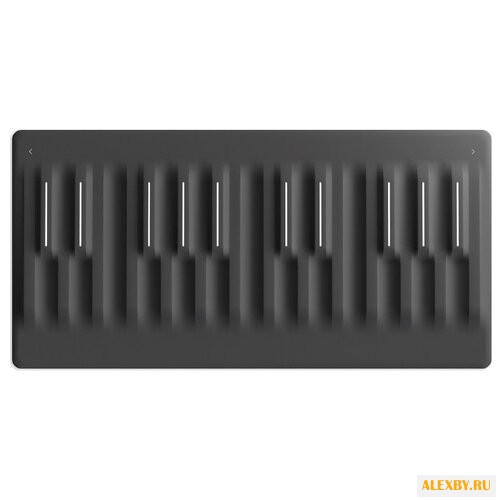 MIDI-клавиатура ROLI Seaboard