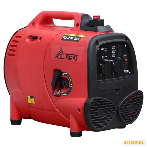 Бензиновая электростанция ТСС