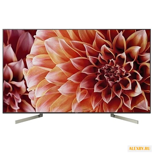 Телевизор Sony KD-75XF9005