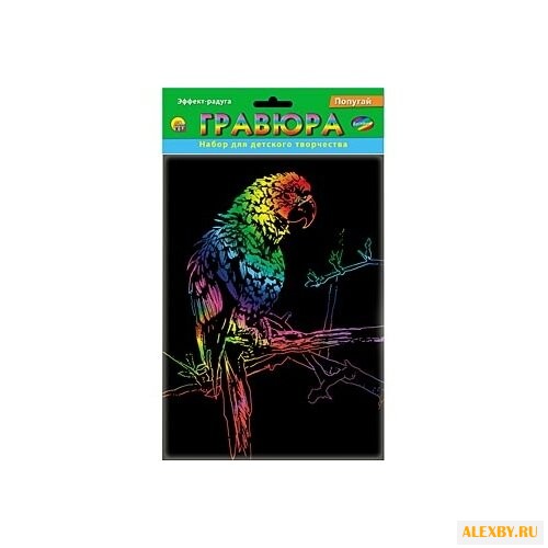 Гравюра Рыжий кот Попугай в