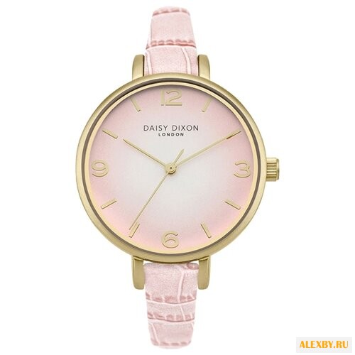 Наручные часы DAISY DIXON DD041P