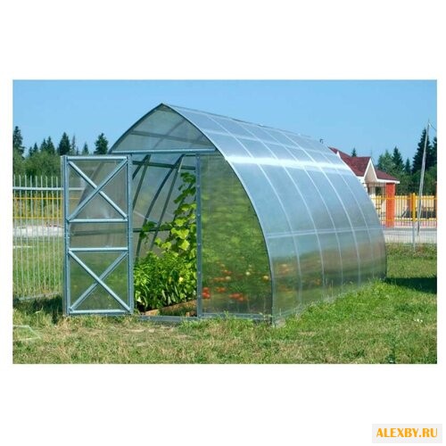 Теплица Воля Дачная-Стрелка
