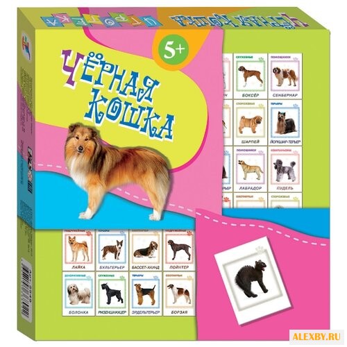 Настольная игра Дрофа-Медиа