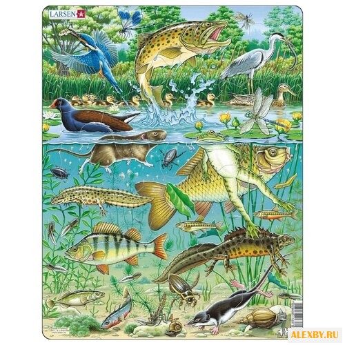 Рамка-вкладыш Larsen Пруд FH19