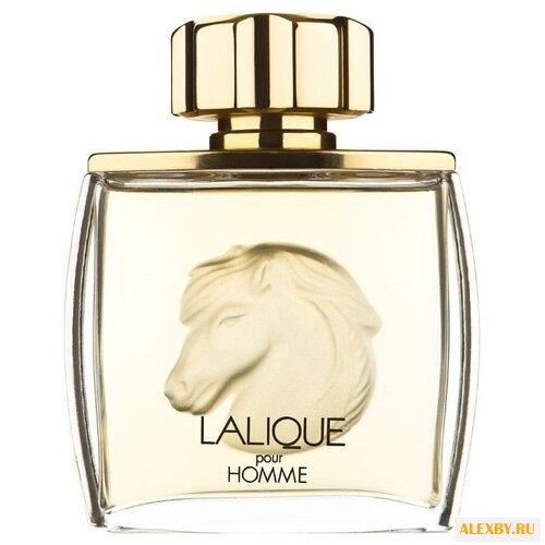 Lalique Lalique pour Homme