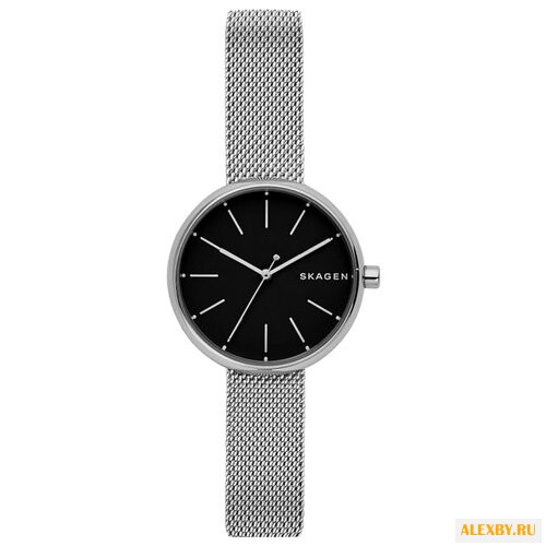 Наручные часы SKAGEN SKW2596