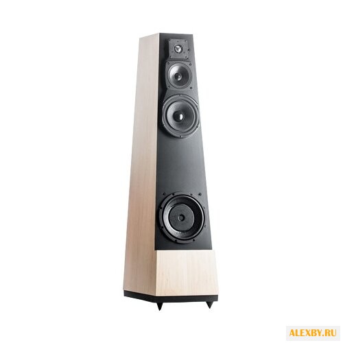 Акустическая система