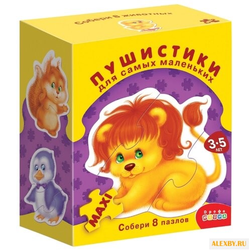 Набор пазлов Дрофа-Медиа ДСМ