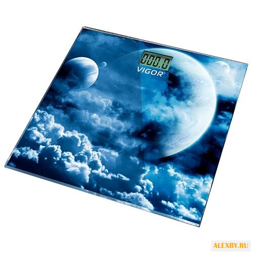 Весы VIGOR HX-8213
