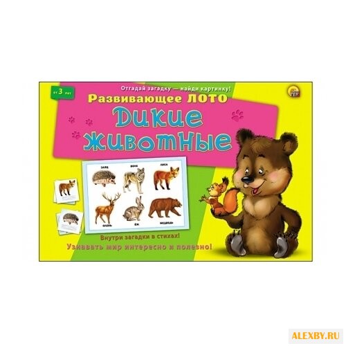 Настольная игра Рыжий кот Лото