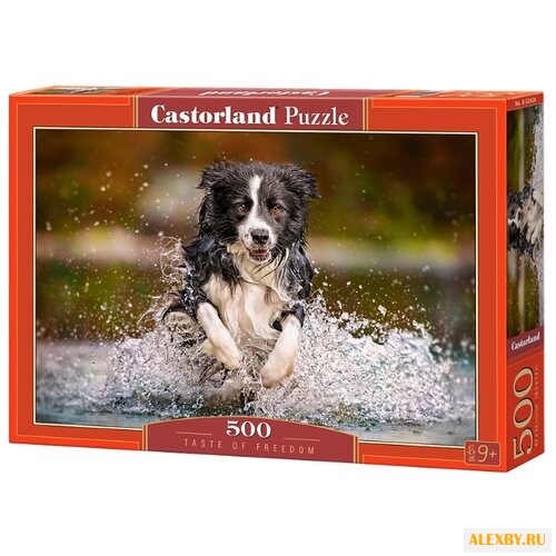 Пазл Castorland Taste of