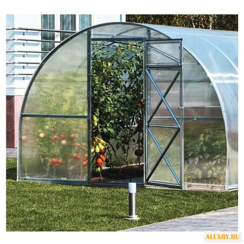 Теплица Воля Дачная-Трешка