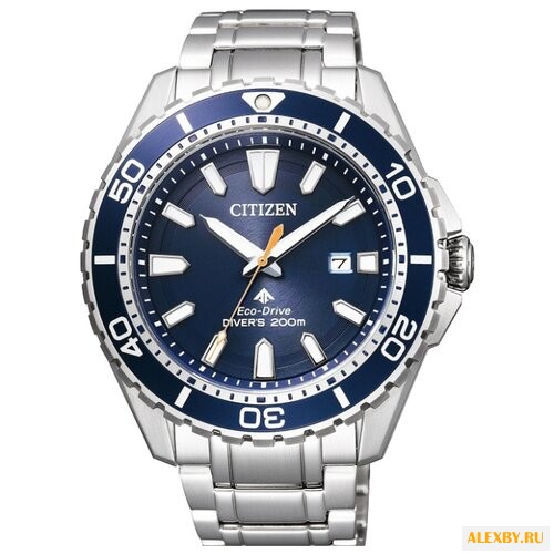 Наручные часы CITIZEN BN0191-80L