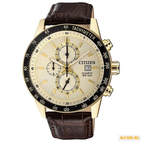 Наручные часы CITIZEN AN3602-02A